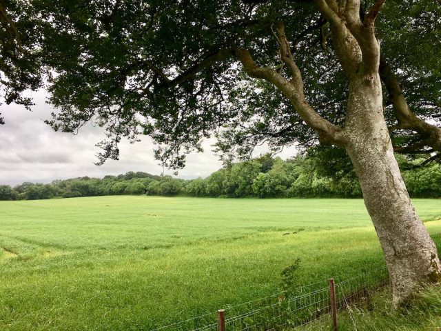 Countryside in Northern Ireland