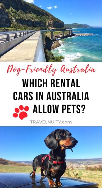 Pet-friendly rental cars Australia pin