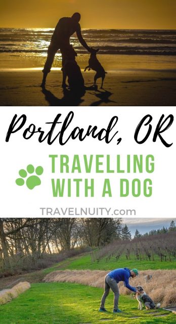 Visit Portland with a dog