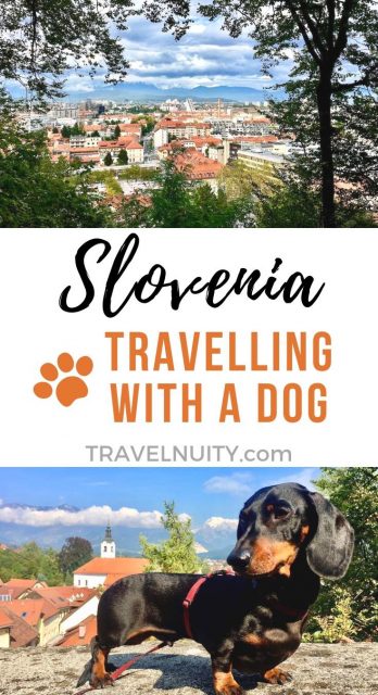 Slovenia Dog-Friendly Travel pin