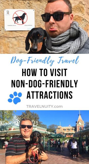 Visit Non-dog-friendly attractions