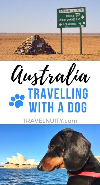 Australia Dog-Friendly Travel