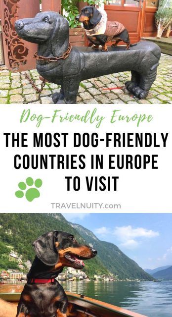 Most Dog-Friendly Countries in Europe pin