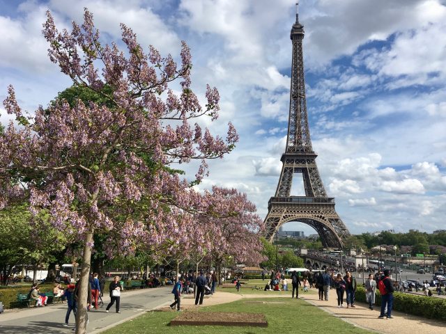 Eiffel Tower in Springtime