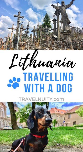 Lithuania Dog-Friendly Travel pin