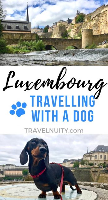 Luxembourg Dog-Friendly Travel