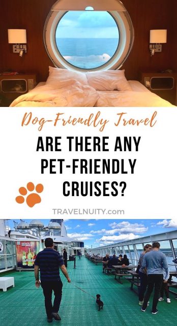 Pet-friendly cruises pin