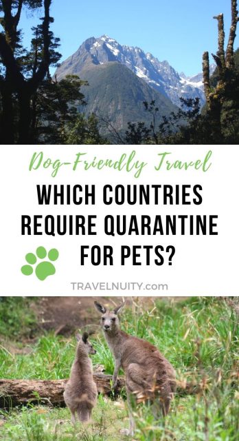 Which Countries Require Quarantine for Pets pin