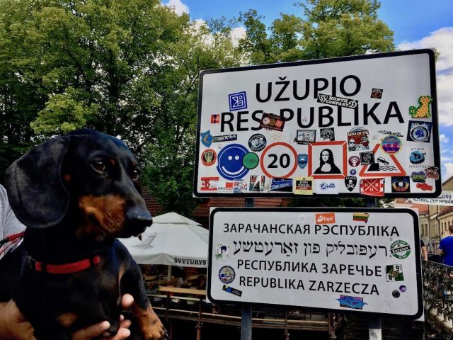 Dog-friendly Užupis