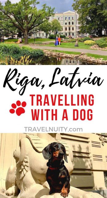 Riga Dog-Friendly Travel