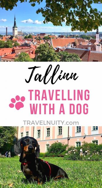 Tallinn dog-friendly travel