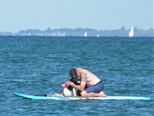 Man with dog on SUP board