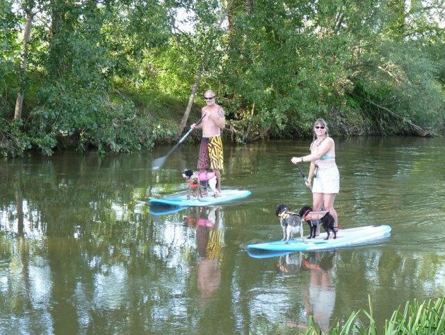 SUPing with dogs on River Unstrut in Germany