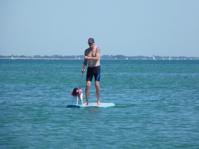 Man standing up on SUP board with dog