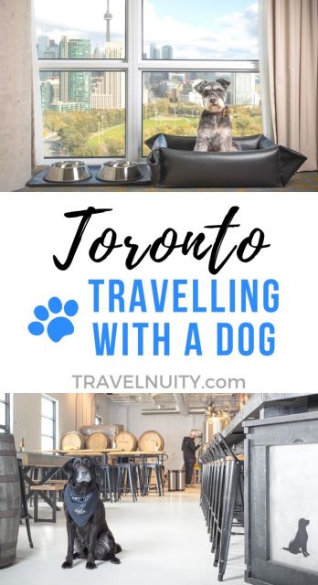 Dog-friendly Toronto