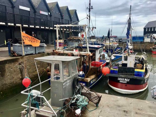 Whitstable Oysters