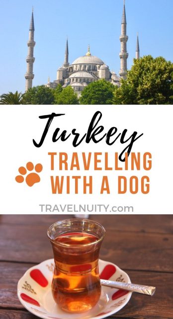 travel turkey with dog