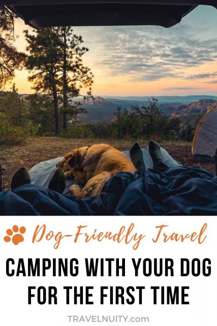 Camping with Your Dog