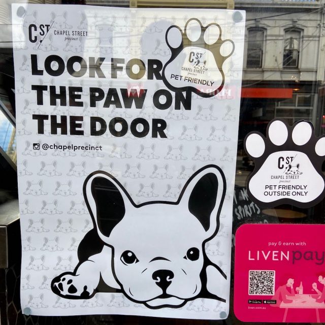 Pet friendly sticker on Chapel Street