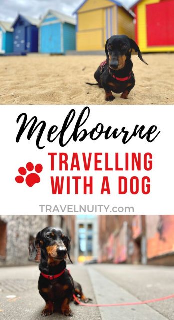 Dog-friendly Melbourne pin