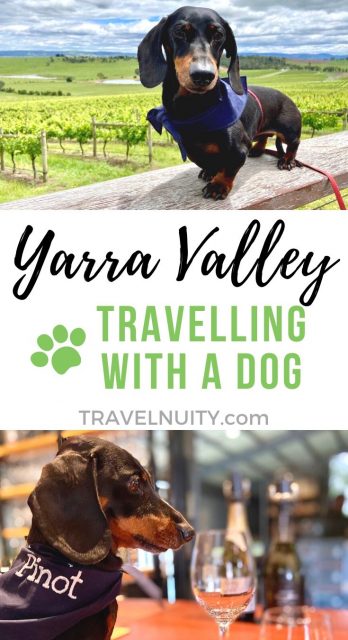 Dog-friendly Yarra Valley pin