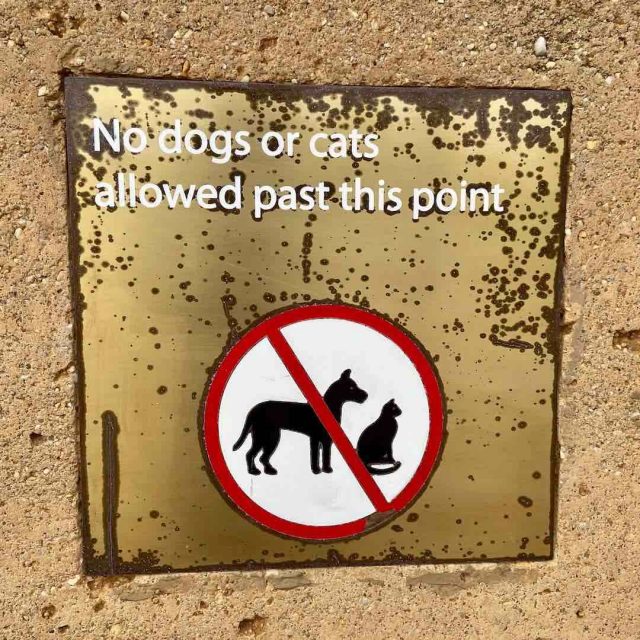 No dogs allowed at 12 Apostles