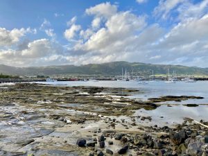 Harbour at Apollo Bay