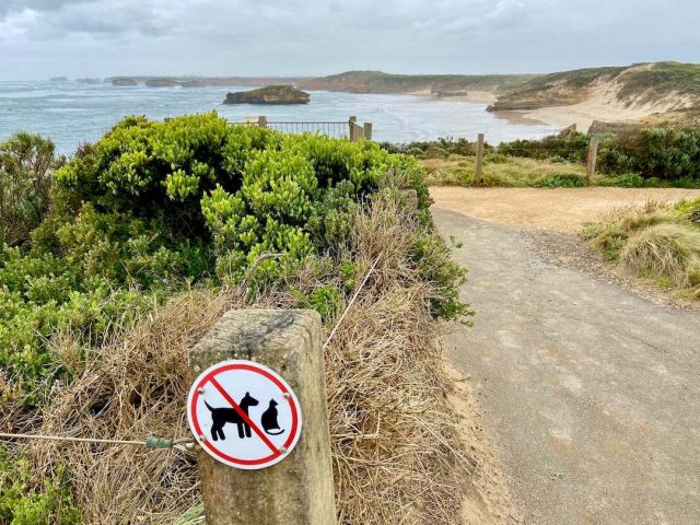 No dogs allowed at lookout near Bay of Martyrs