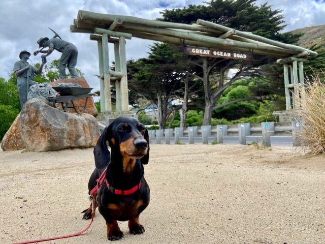 Dog-Friendly Great Ocean Road