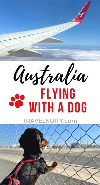 Travel Australia with a dog