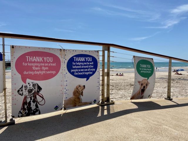 Dog-friendly beaches Adelaide - Henley Beach signs