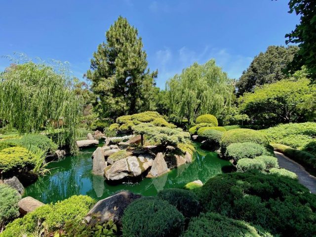 The pond at Himeji Garden