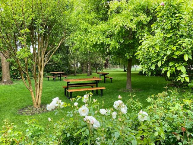 The garden at Schulz Organic Creamery & Cafe