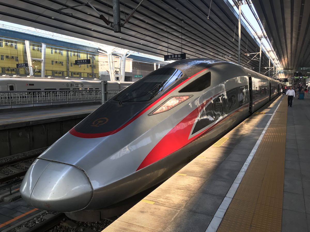 Can Dogs Ride On Trains In Japan