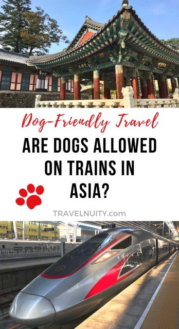 Dogs on Trains in Asia pin