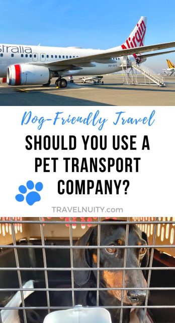 Pet transport company