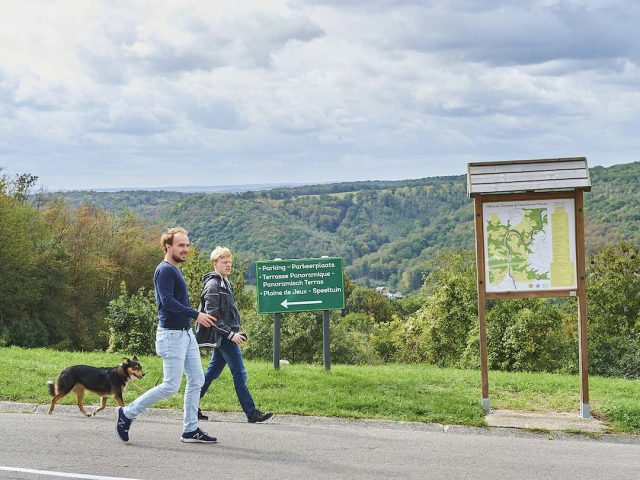 Dog-Friendly Ardennes