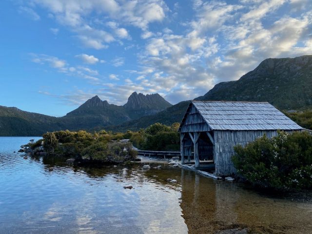 Visiting Tasmania with a Dog