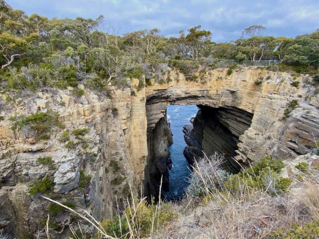 Tasman Arch