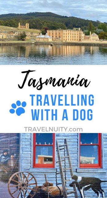 Dog-Friendly Tasmania pin