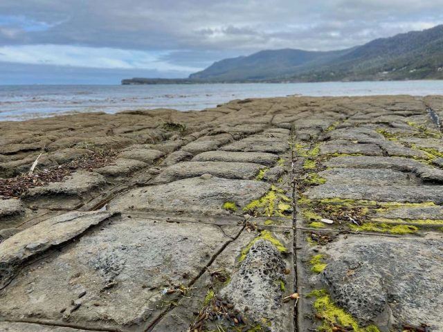 Cracks in the Tessellated Pavement