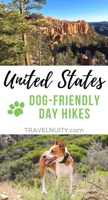 Dog-friendly day hikes in the USA