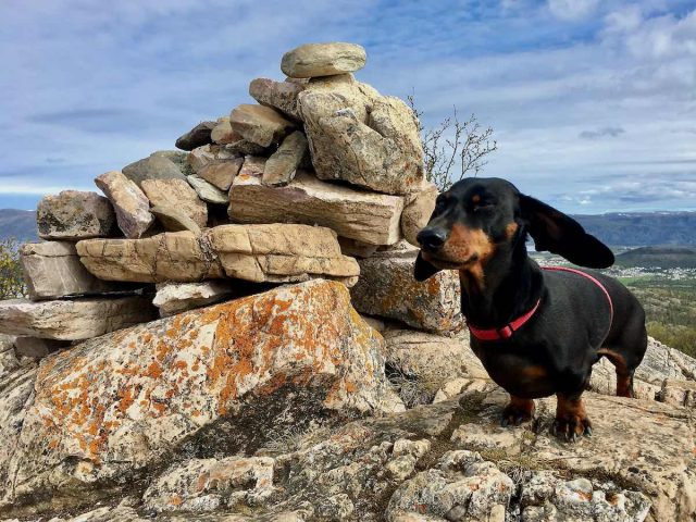 Summit near Alta in Norway