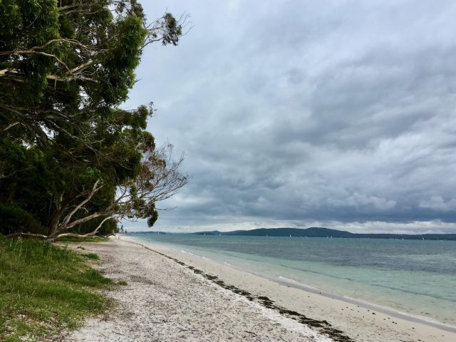 Dog-friendly beach Port Stephens