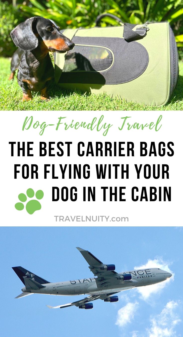 How to Choose the Best Dog Carrier for Plane Travel Travelnuity