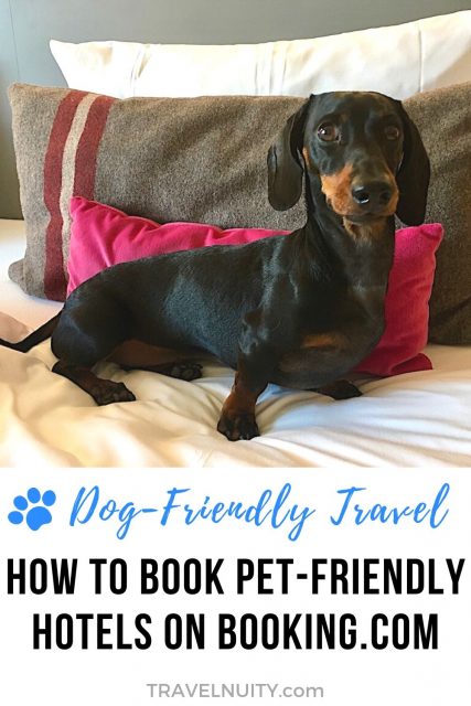 How to book pet-friendly hotels on Booking.com