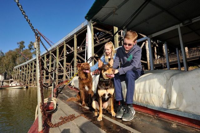 Dog-Friendly Echuca Paddlesteamers