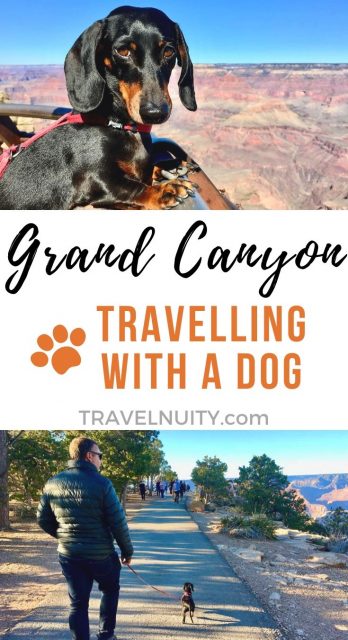 Grand Canyon Dog-Friendly Travel pin