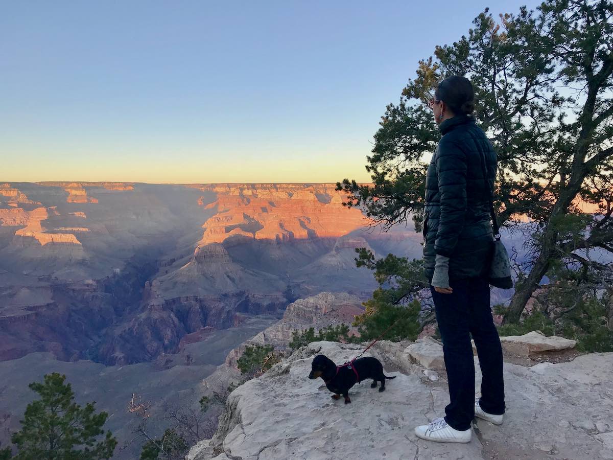 Dog-Friendly Grand Canyon: Visiting with a Dog - Travelnuity