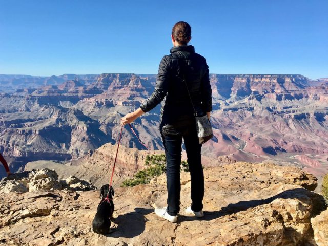 Standing with dog next to Grand Canyon near Desert View